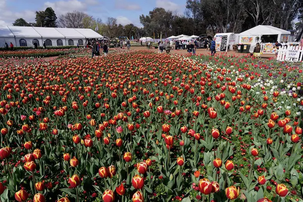 Floriade 2022 (13)